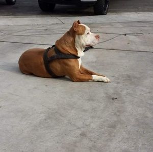 Meet your Posher, Gerardo